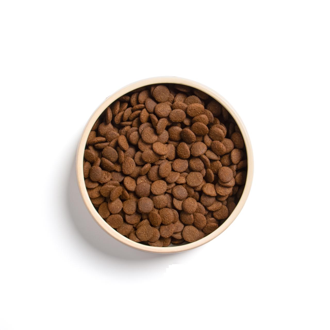 bestesfutter-hundefutter-grain-free-adult