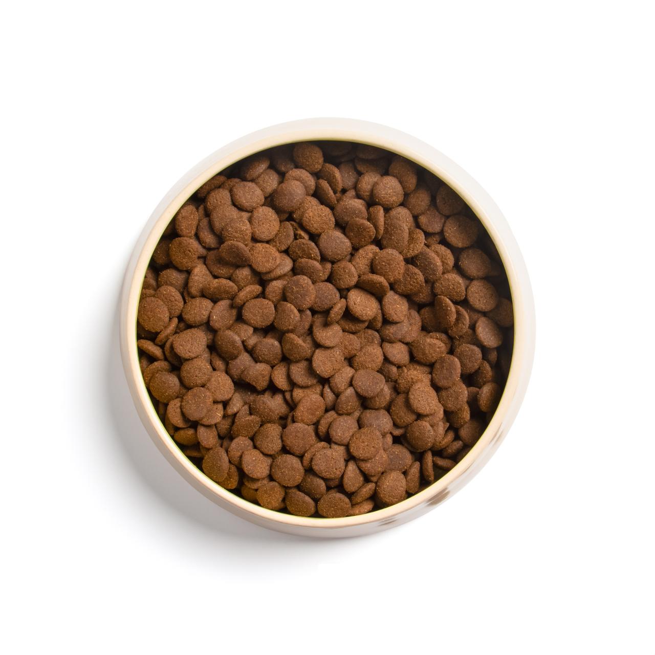 hundefutter_bestesfutter_grain_free_junior