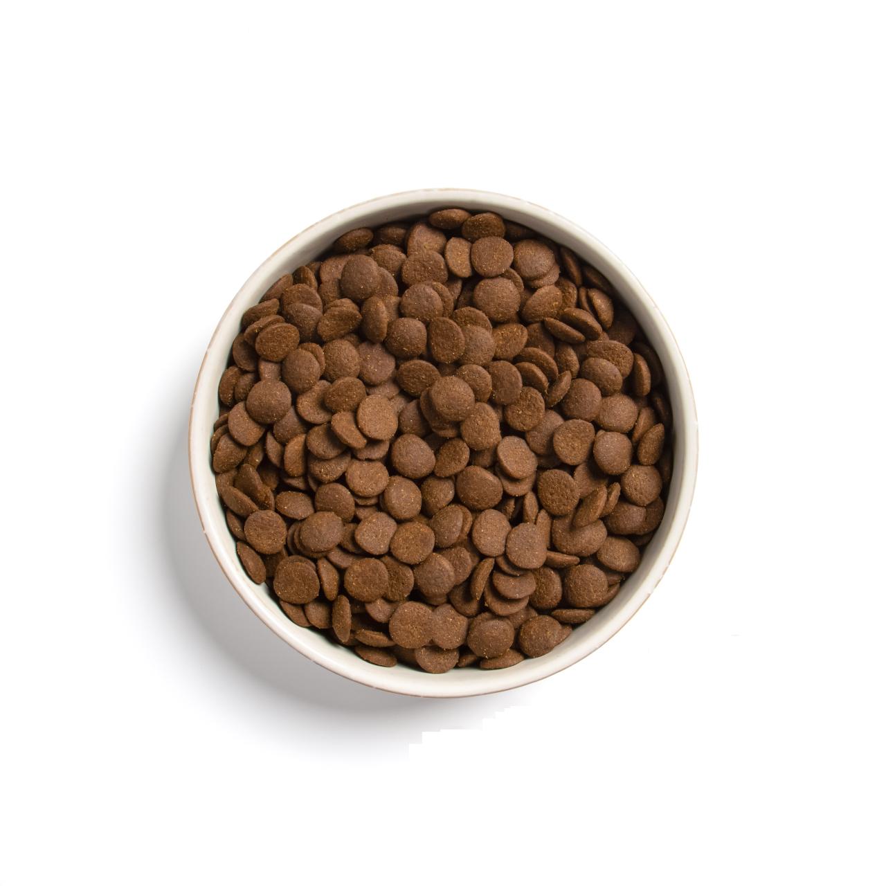 hundefutter_bestesfutter_grain_free_senior