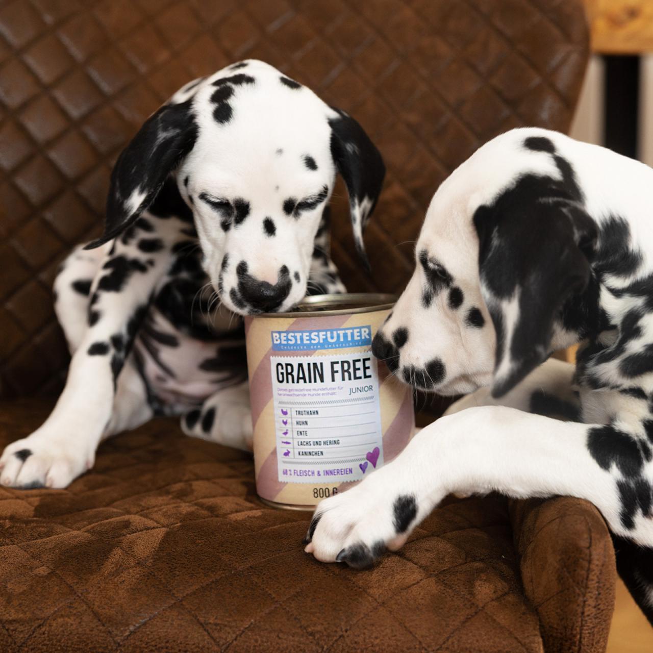 Grain Free Junior Nassfutter (getreidefrei)